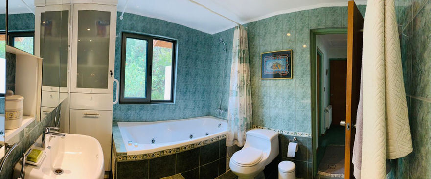 Bathroom_master_suite_mansion_2.jpeg