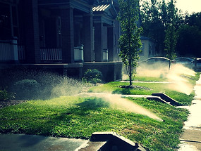 Irrigation and Sprinkler Services.jpg