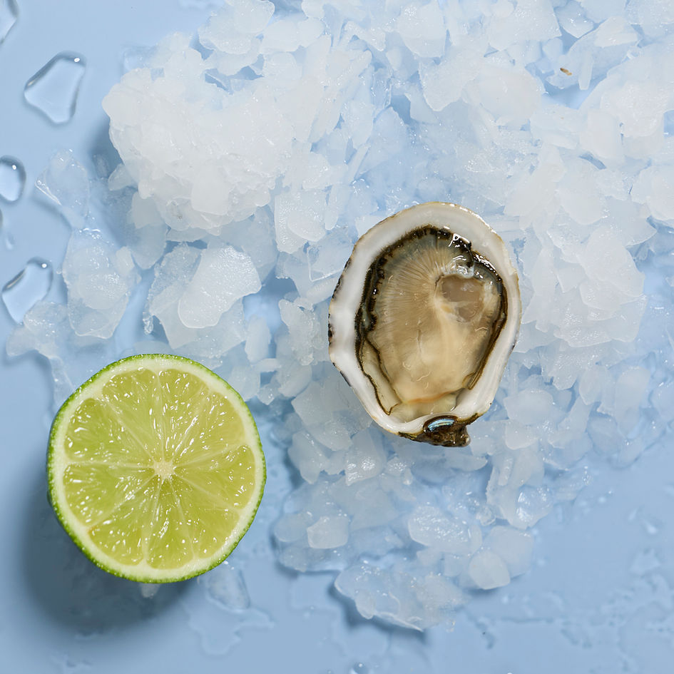 Geöffnete Baby Kys Auster auf Eis mit Limette