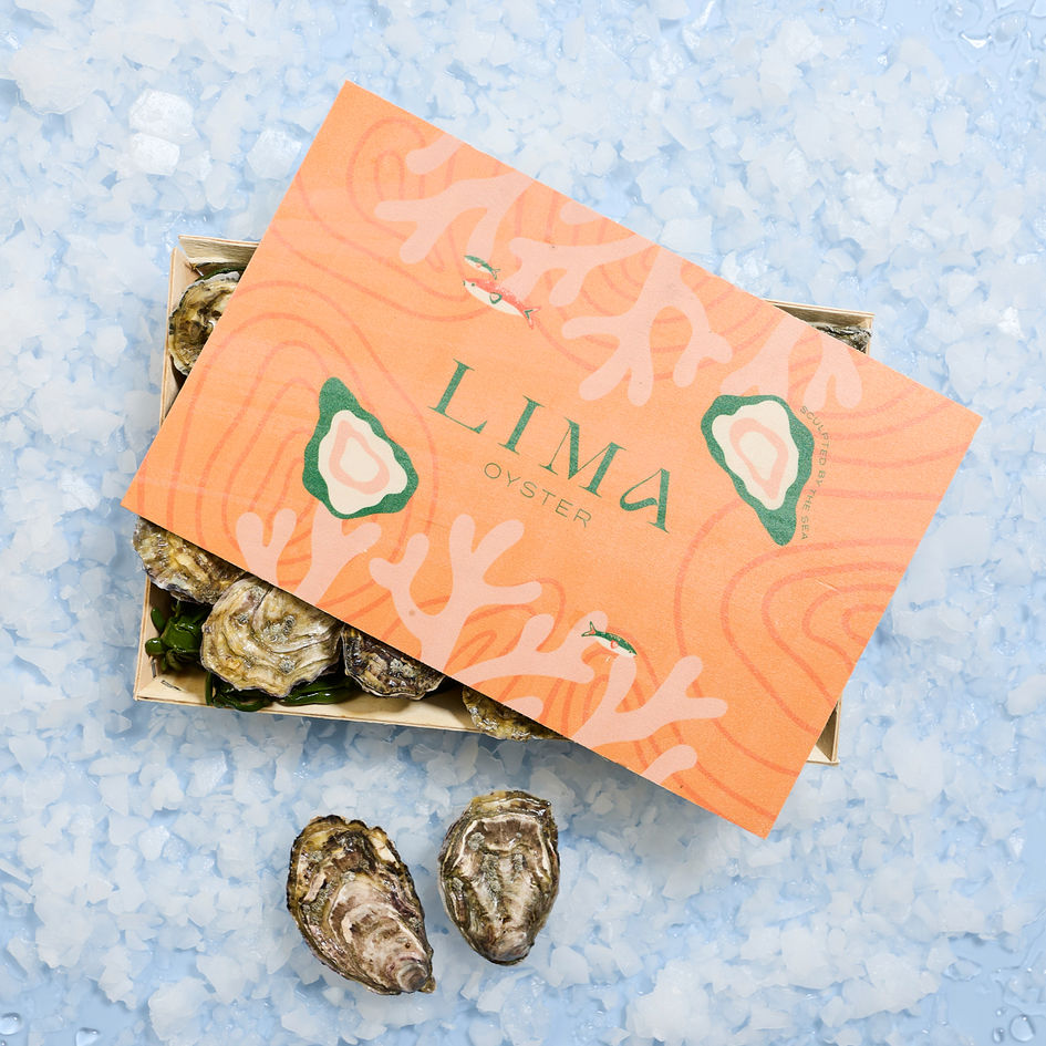 Ostra Regal Austern in Holzkiste auf Eis