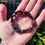 Thumbnail: Gemstone Chip Poppy Jasper Bracelet