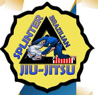 Splinter_BJJ-2.gif