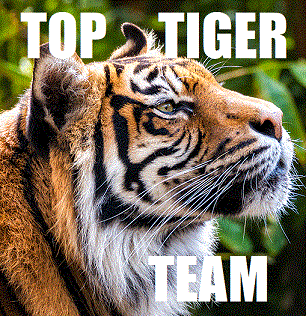 Top Tiger Team.gif