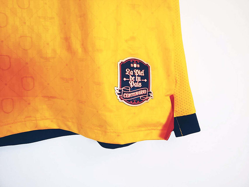Thumbnail: *BNWT* 2025 Ecuador Centenary Shirt #23 Caicedo