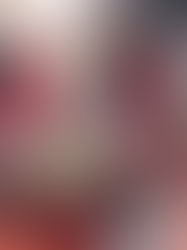 La naturaleza en el aula