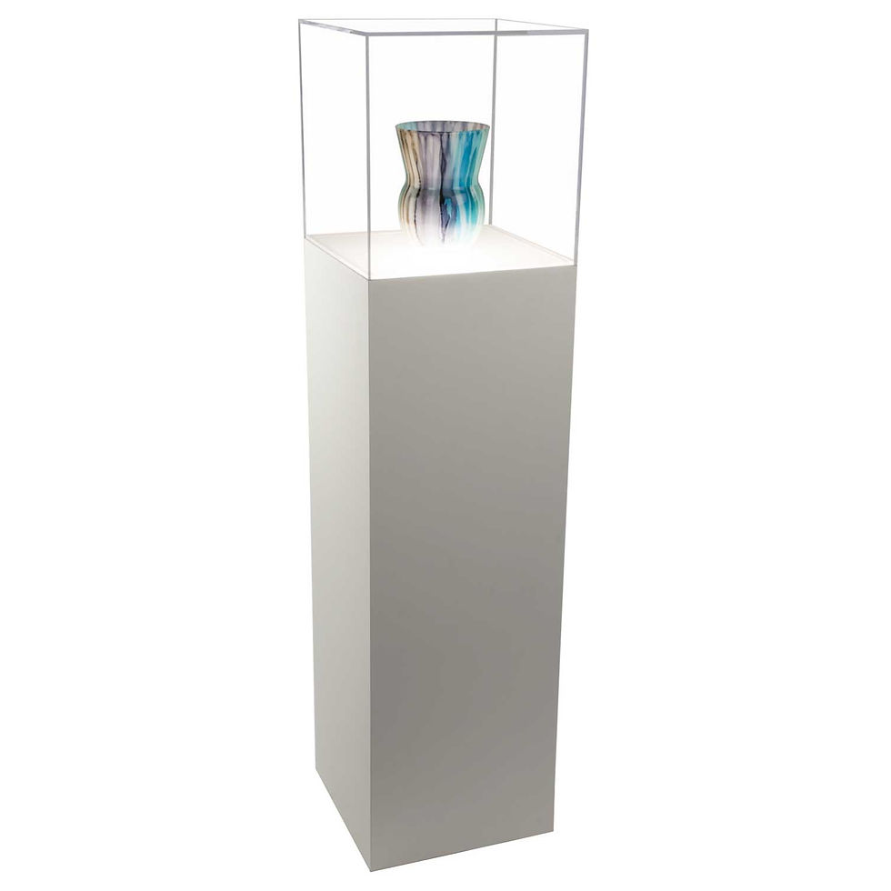 Acylic Display Box on Pedestal