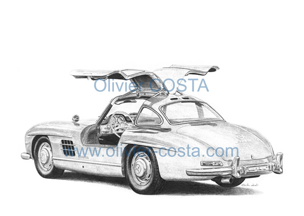 MER-55-300SL.jpeg