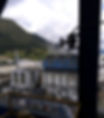 WhatsApp Image 2020-12-29 at 2.37.24 PM.jpeg