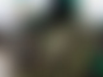 Hamas says terrorists trapped behind Israeli lines won't surrender despite telling US it will disarm