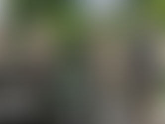 Shutdown Fallout: Troops Paid, But Military Families and Civilians Left in Limbo