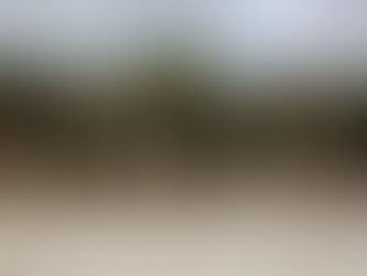 Exploring Sebastia: A forgotten biblical capital in the heart of Samaria