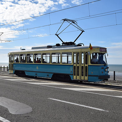 PCC 26