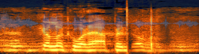 wav_spectrum_2x_edited.jpg