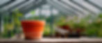 Greenhouse Plant Pot.jpg