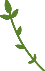 TCPH ASSET FLOURISH_edited.png