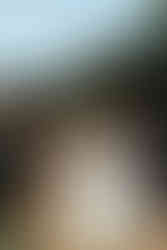 bride walking through guests after outdoor ceremony at san francisco coastal wedding with veil and bouquet