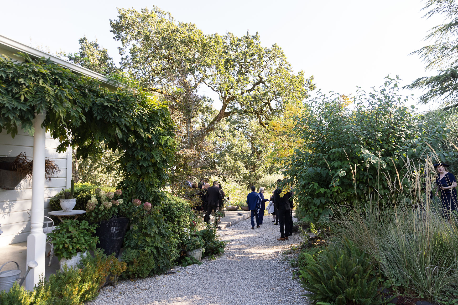 Wedding guests arriving through garden pathway at Olive Oaks venue in Sebastopol, Sonoma County.