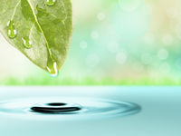 A dew-covered leaf drips water into a tranquil pool, creating ripples. The background is a soft green and blue bokeh, evoking calm and freshness, the life of both growing up and waking up.
