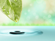 A dew-covered leaf drips water into a tranquil pool, creating ripples. The background is a soft green and blue bokeh, evoking calm and freshness, the life of both growing up and waking up.