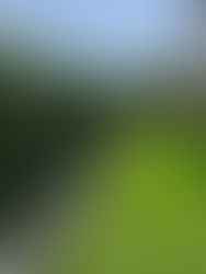 bodrum bahçe yapay çim uygulaması