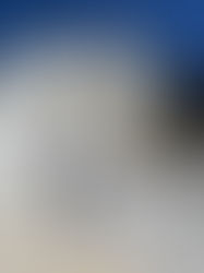 Bodrum dış cephe boya badana işlemi