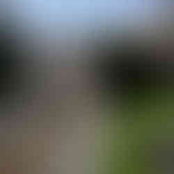 bodrum yapay çim halı