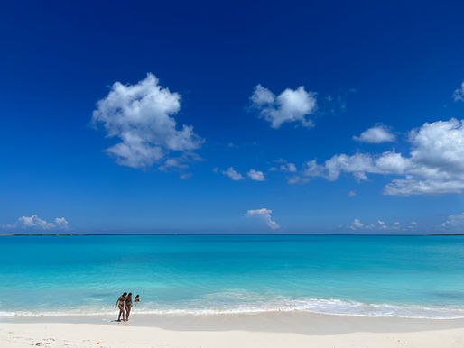 Exuma: el hogar de los cerdos nadadores.