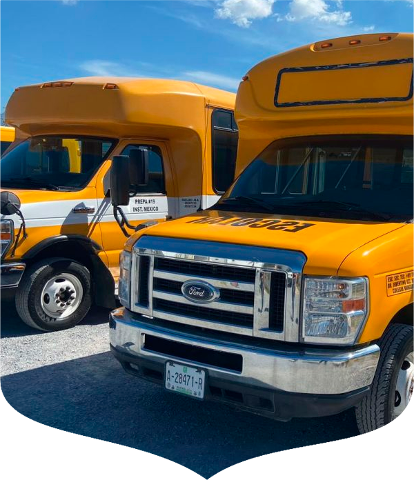 IMA_b.png