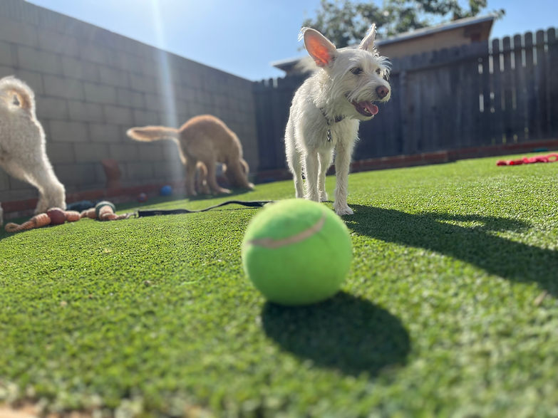 TP HOME PAGE PHOTO.jpg