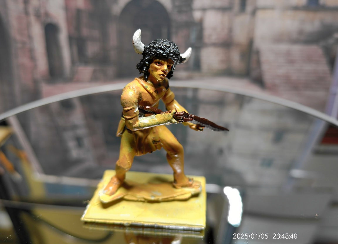Little Big Horn Indian Heros "WhiteCowBull".