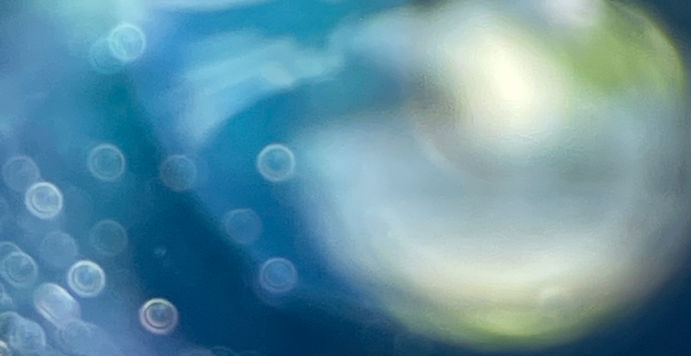 2C865665-9549-4200-8EFC-A43A113D64BD_edited.jpg