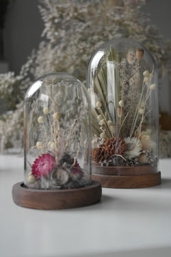 Kopułki z suszonych roślin