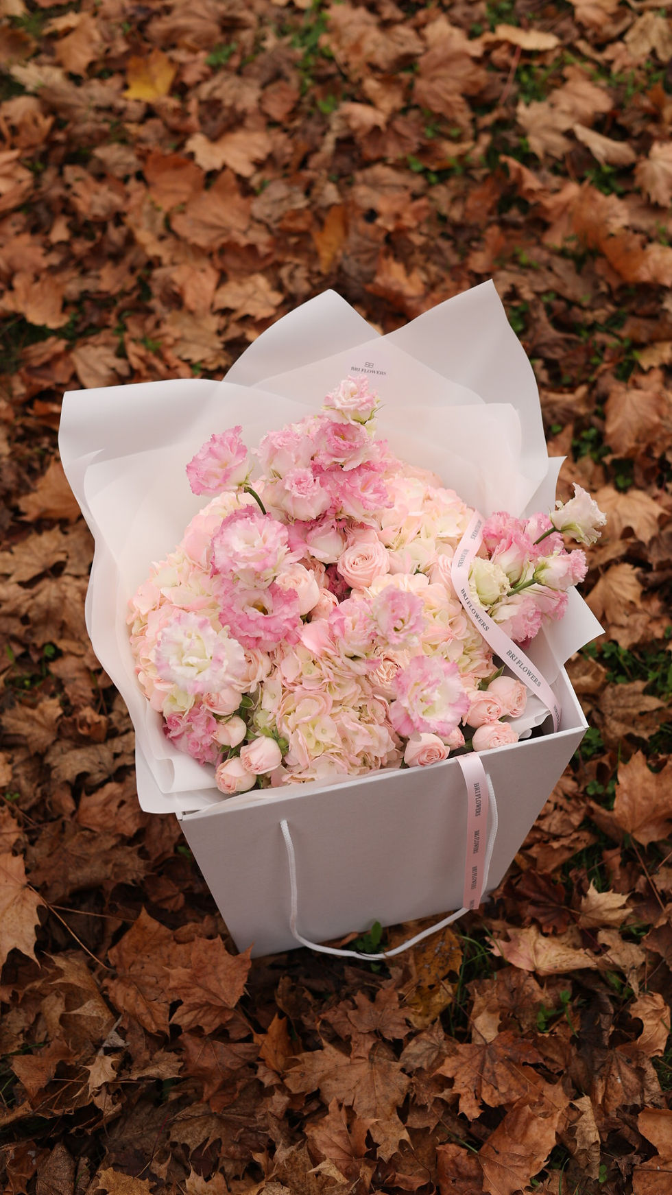 Thumbnail: GirlyDream