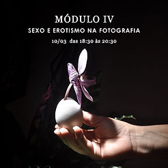 2021_modulos_de_verao_nefa_5.jpeg