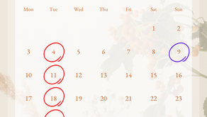 2025年11月予定