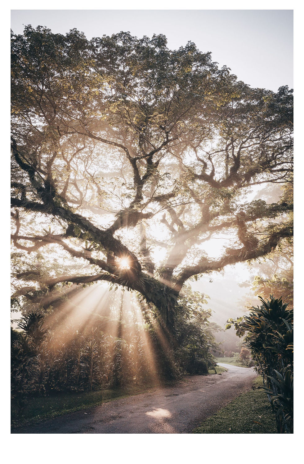 Katie Martin-Sperry Fine Art Prints
