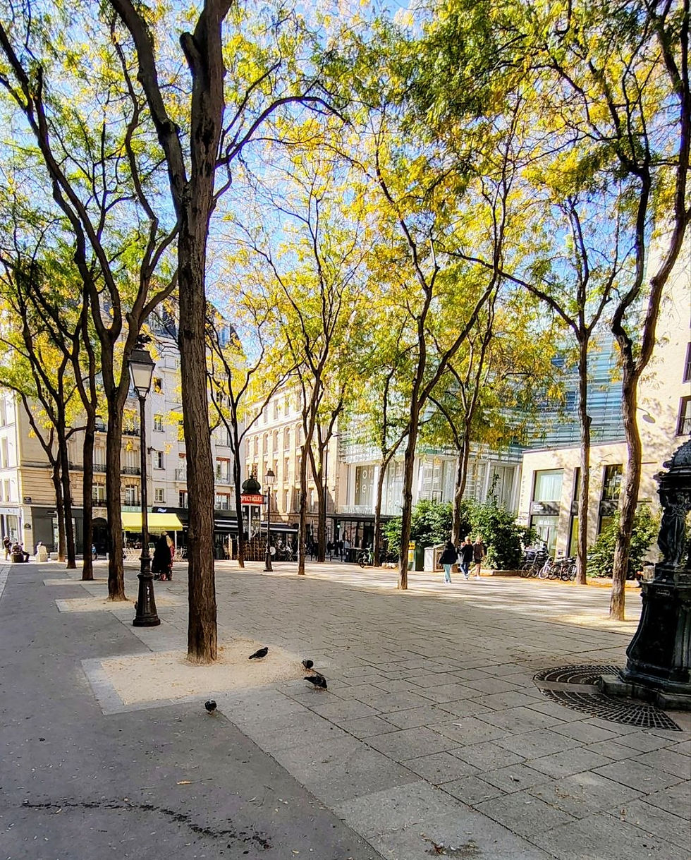 Centre de Paris - Une place sans assises
