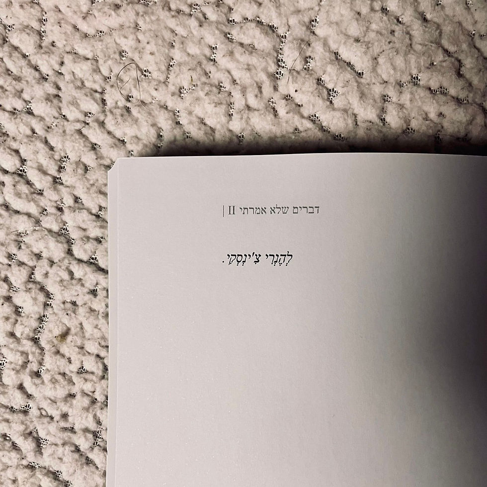 תמונה ממוזערת: דברים שלא אמרתי 2