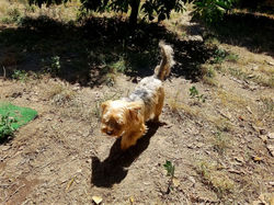 20451759_1933080406948854_5830483727295017615_o