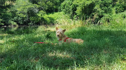 13582049_1742910032632560_8339040546059024909_o