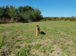 20728663_1937385613185000_534695057941933084_o