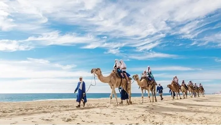 paseo_en_camello_por_los_cabos_mexico_travel_channel_1200X680.webp