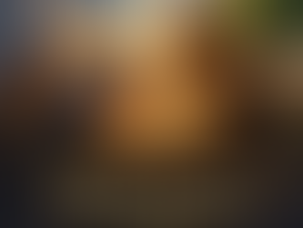 Why Honor Must Meet the Manger: A Christmas Family Tree of Life, and Walking the Talking