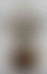 Mini Clarence S. Campbell Bowl