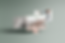 AMANI.png