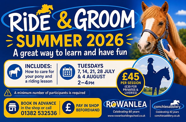 2026-Ride and Groom Summer.jpg