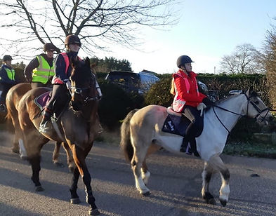 Trek 2019 cropped.jpg