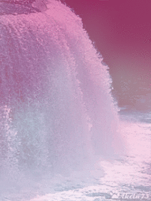 imageedit_1_7419355903.gif