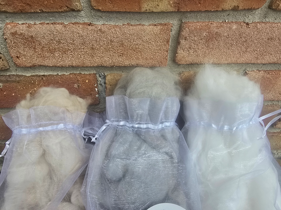 Thumbnail: Fall Shearing Fiber Special