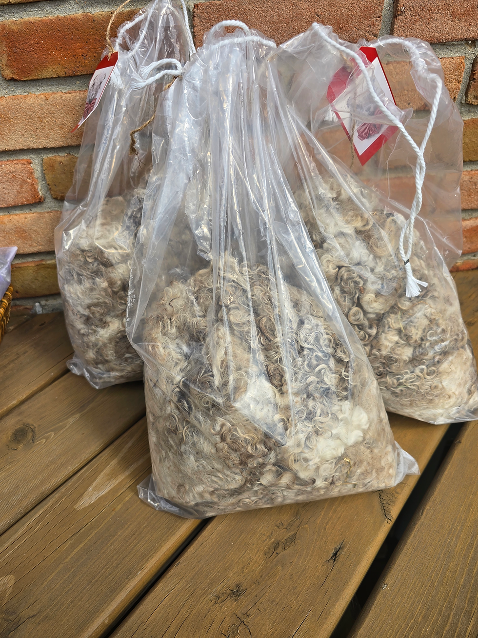 Thumbnail: Fall Shearing Fiber Special